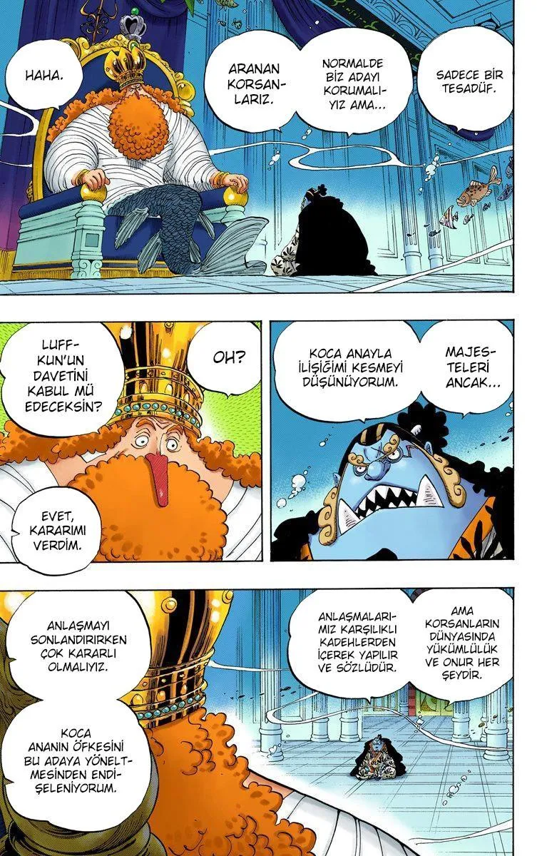 One Piece [Renkli] - Sayfa 4