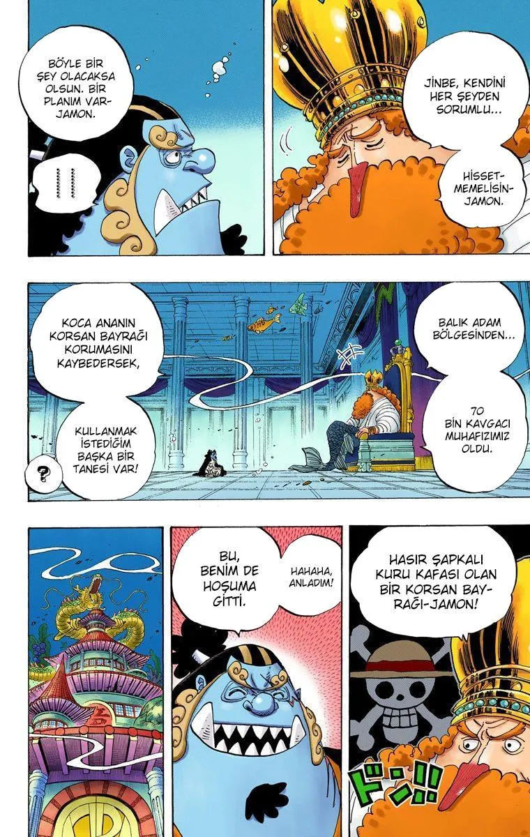 One Piece [Renkli] - Sayfa 5