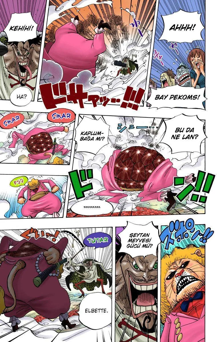 One Piece [Renkli] - Sayfa 12