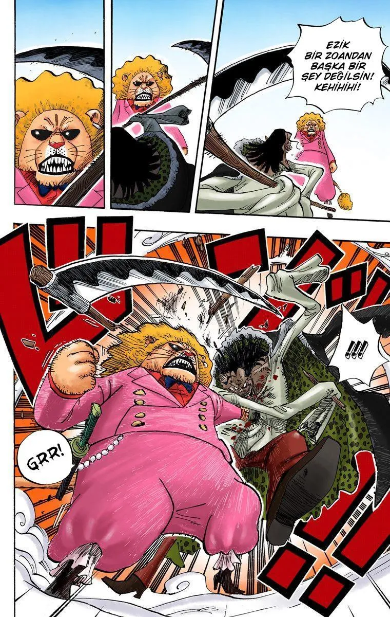 One Piece [Renkli] - Sayfa 13