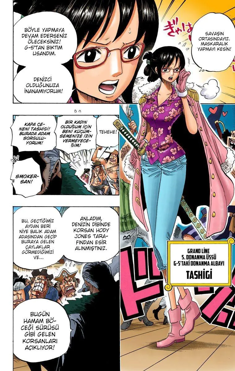 One Piece [Renkli] - Sayfa 17