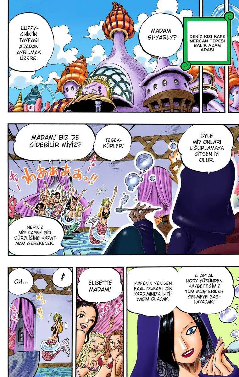 One Piece [Renkli] - Sayfa 3