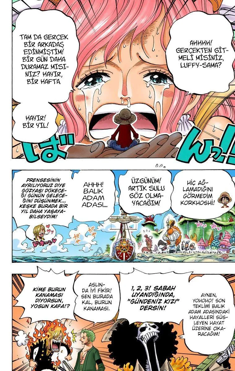 One Piece [Renkli] - Sayfa 5