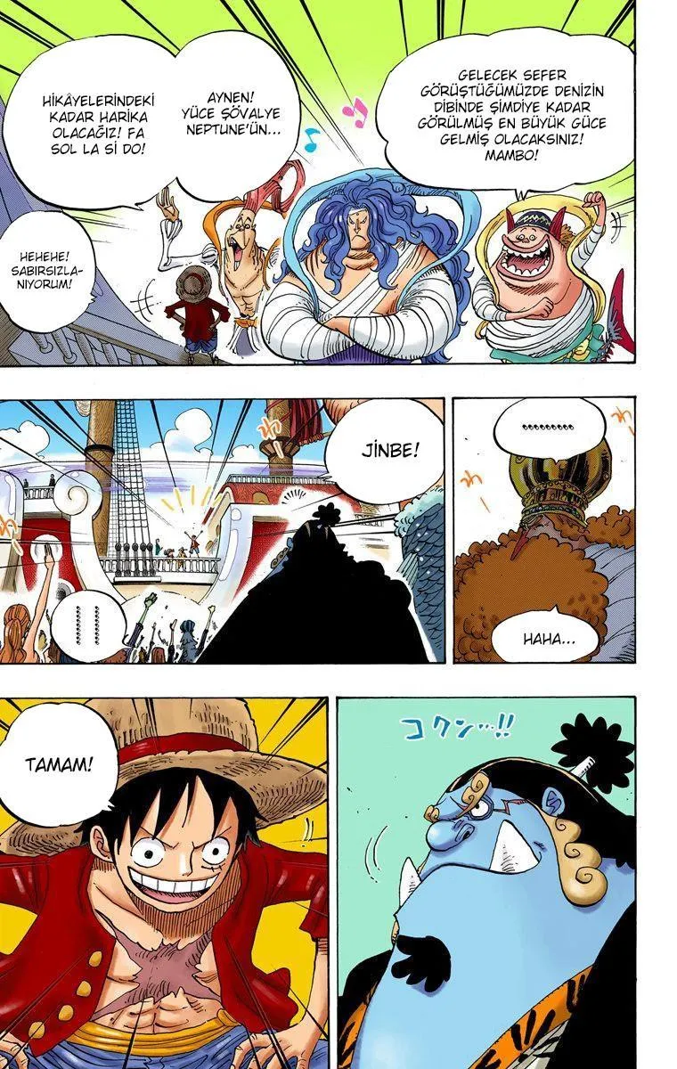 One Piece [Renkli] - Sayfa 12