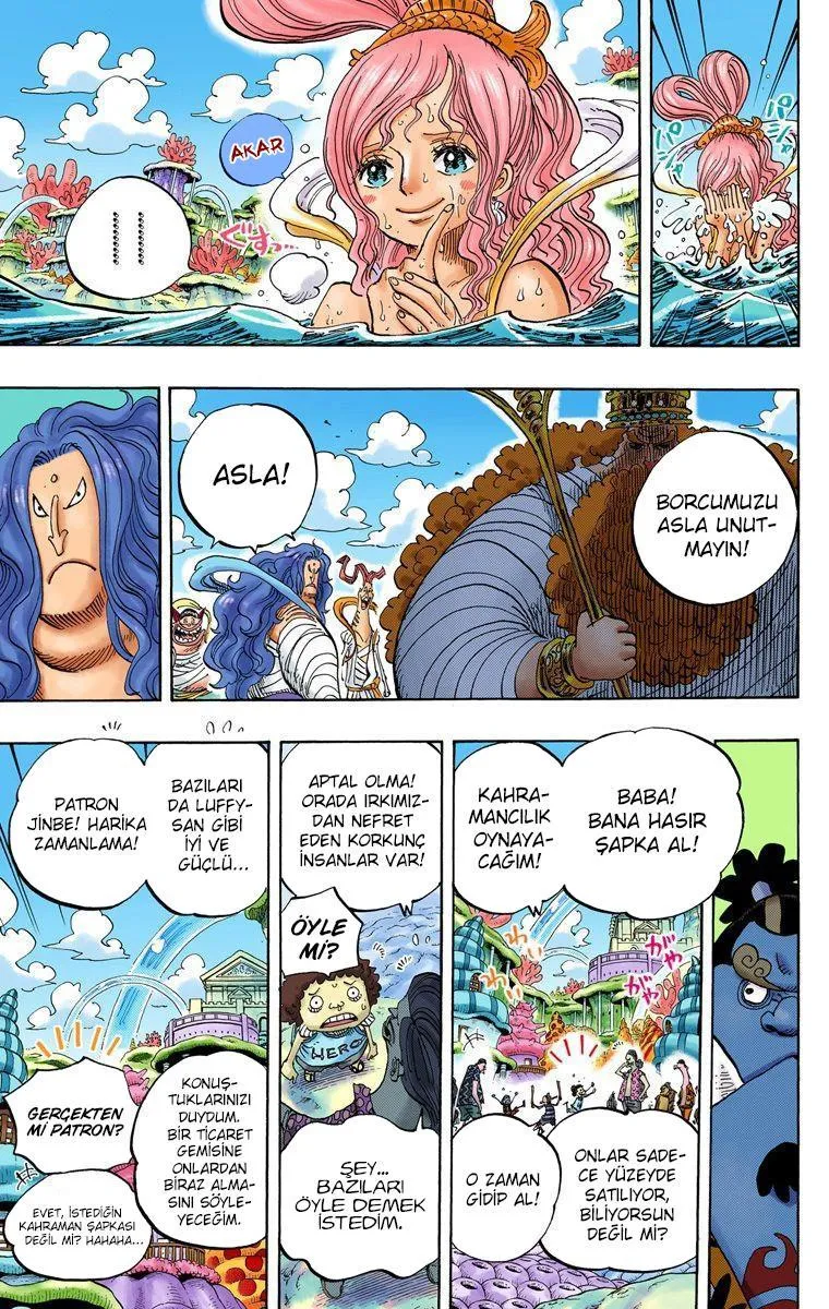 One Piece [Renkli] - Sayfa 16