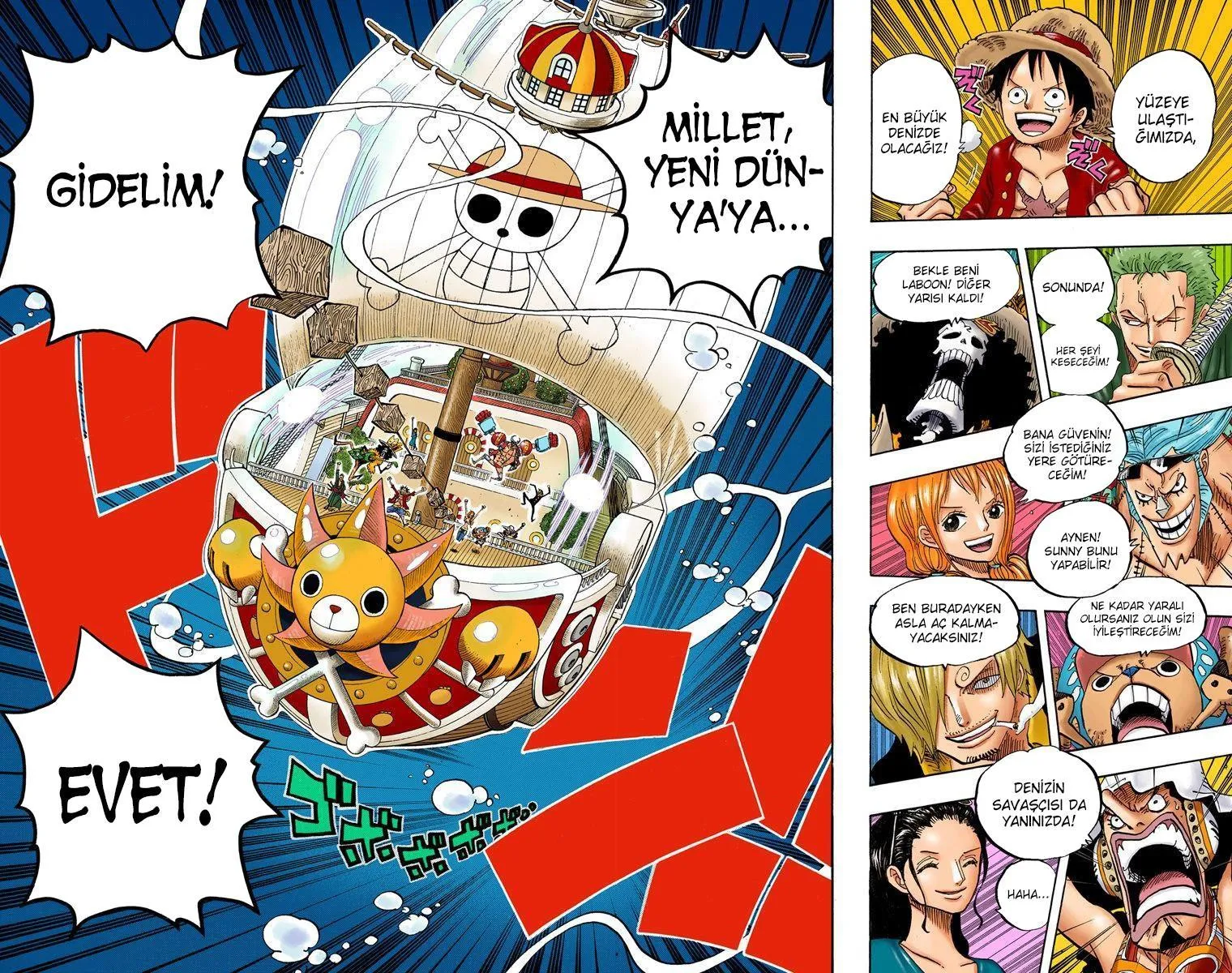One Piece [Renkli] - Sayfa 19