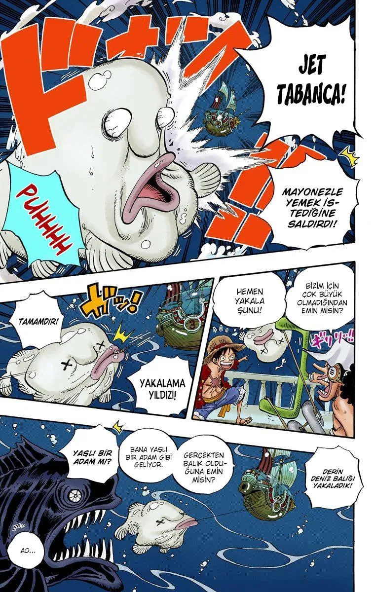 One Piece [Renkli] - Sayfa 6