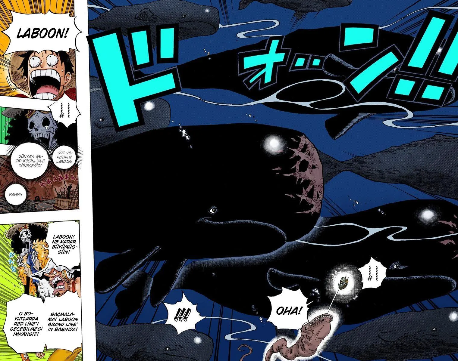 One Piece [Renkli] - Sayfa 13