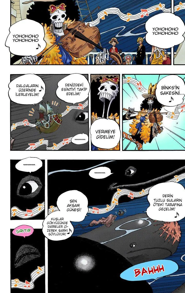 One Piece [Renkli] - Sayfa 16