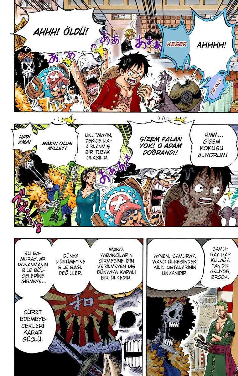One Piece [Renkli] - Sayfa 7