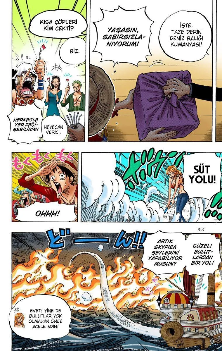 One Piece [Renkli] - Sayfa 11