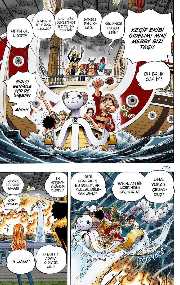 One Piece [Renkli] - Sayfa 12