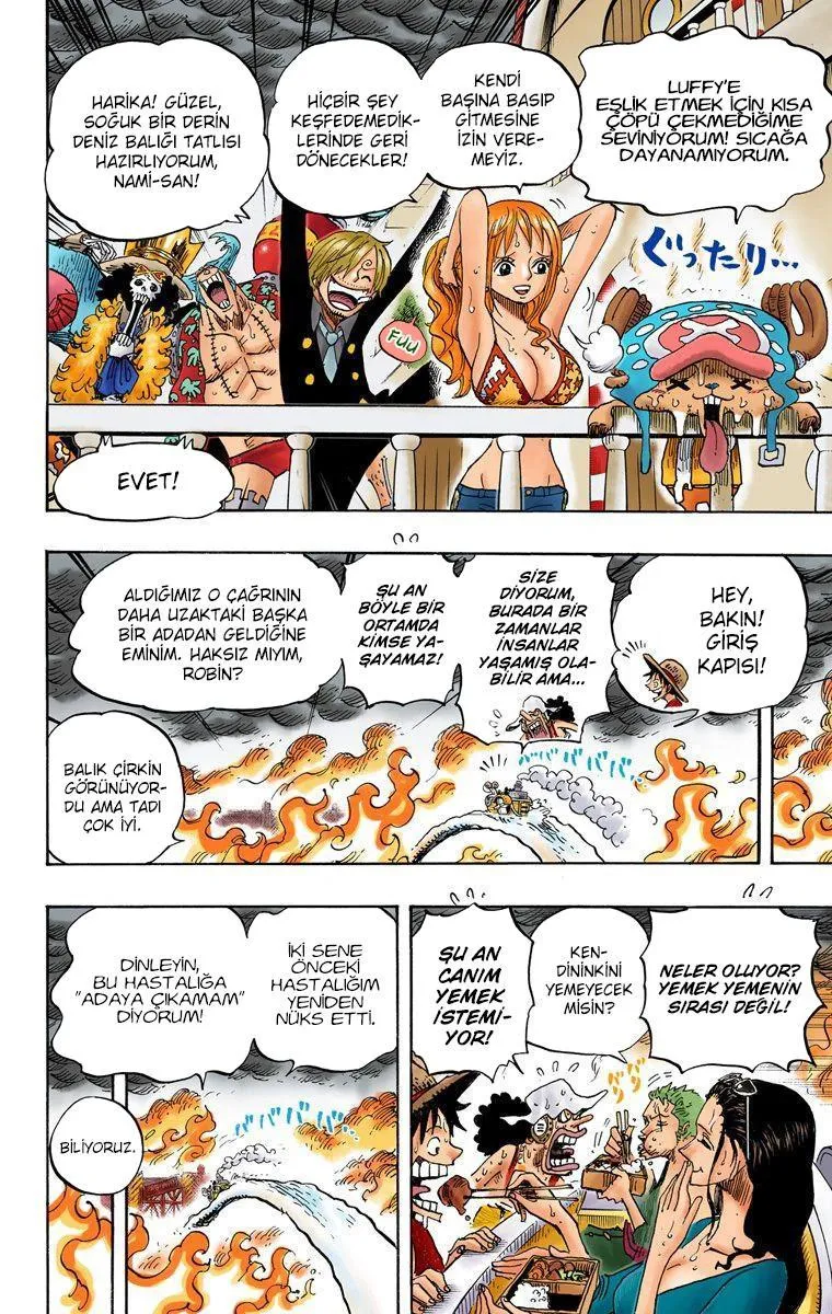 One Piece [Renkli] - Sayfa 13