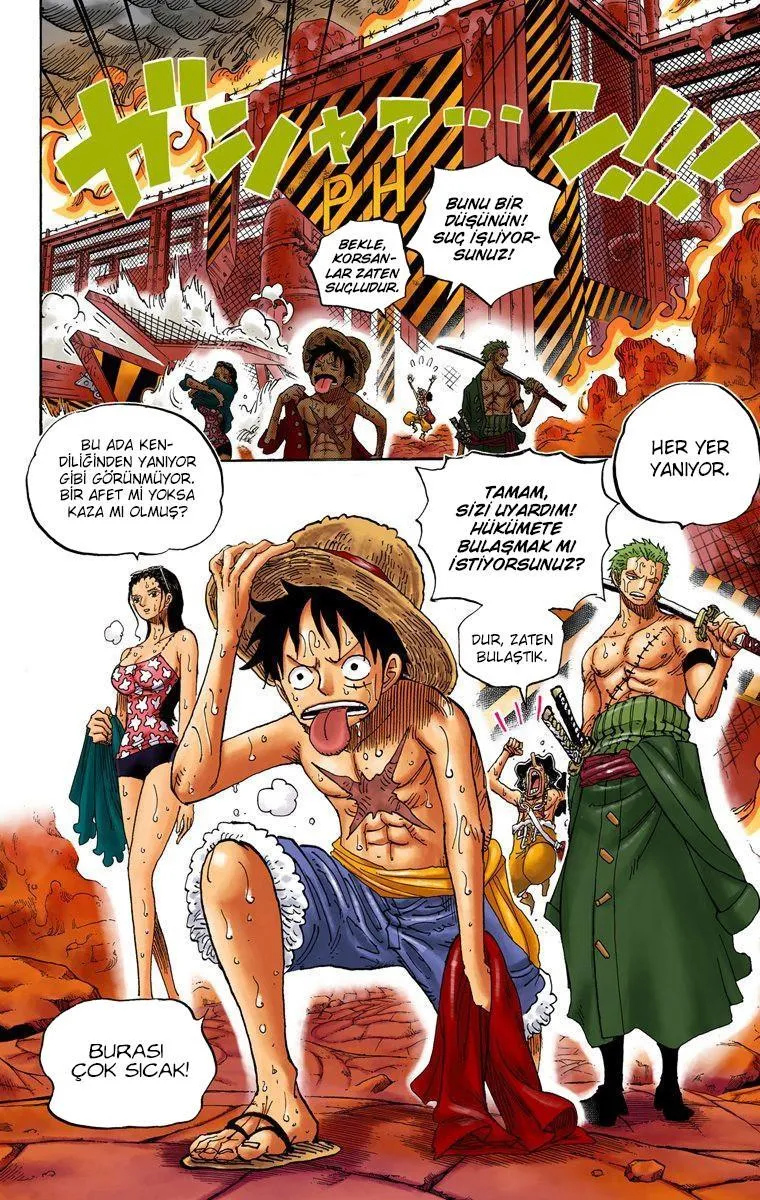One Piece [Renkli] - Sayfa 15