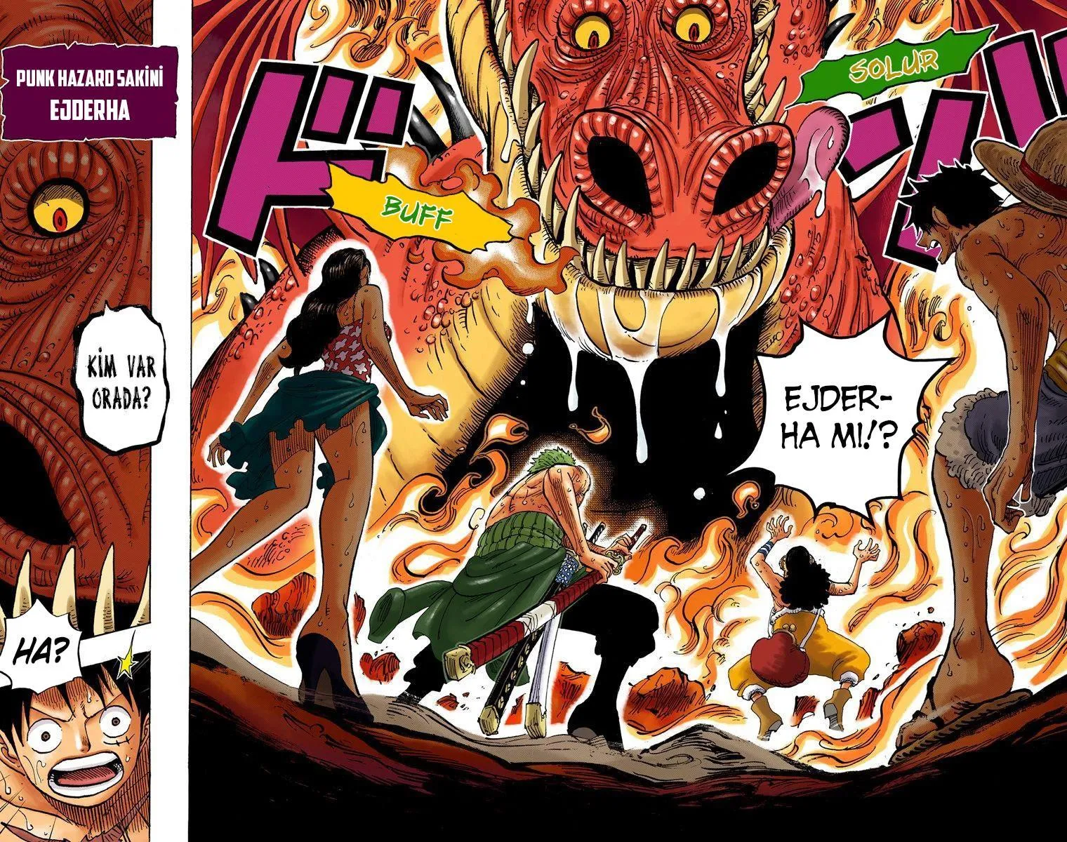 One Piece [Renkli] - Sayfa 19