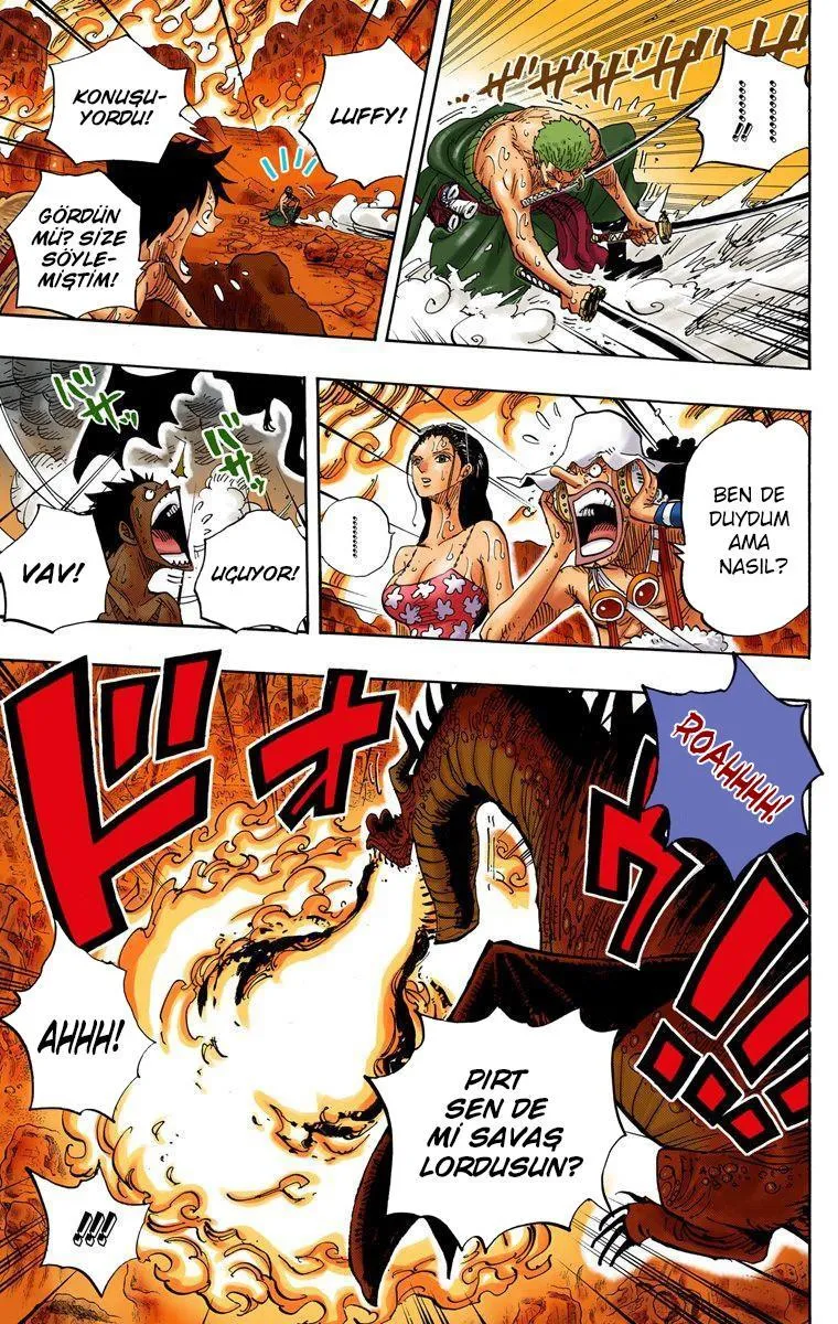 One Piece [Renkli] - Sayfa 10