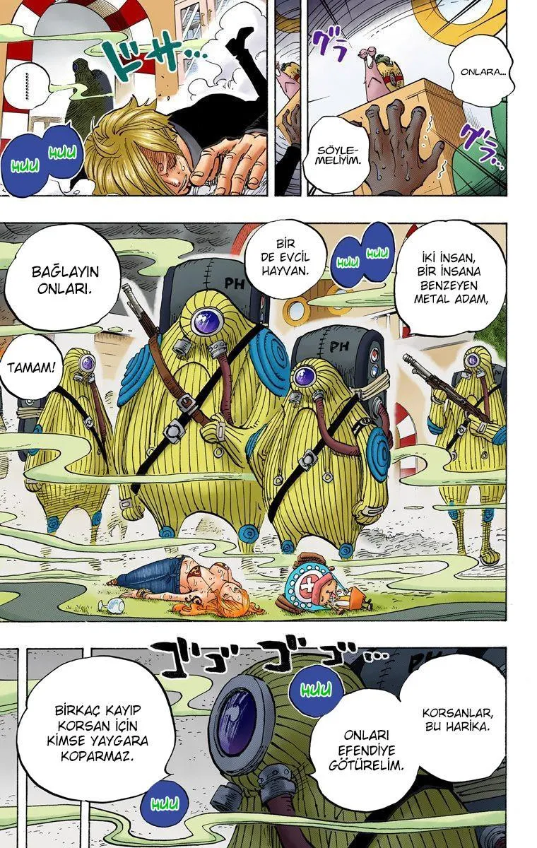 One Piece [Renkli] - Sayfa 17