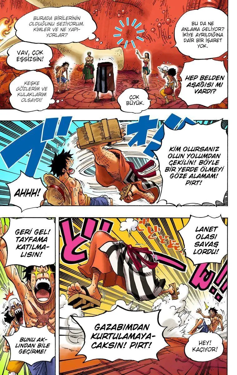 One Piece [Renkli] - Sayfa 19