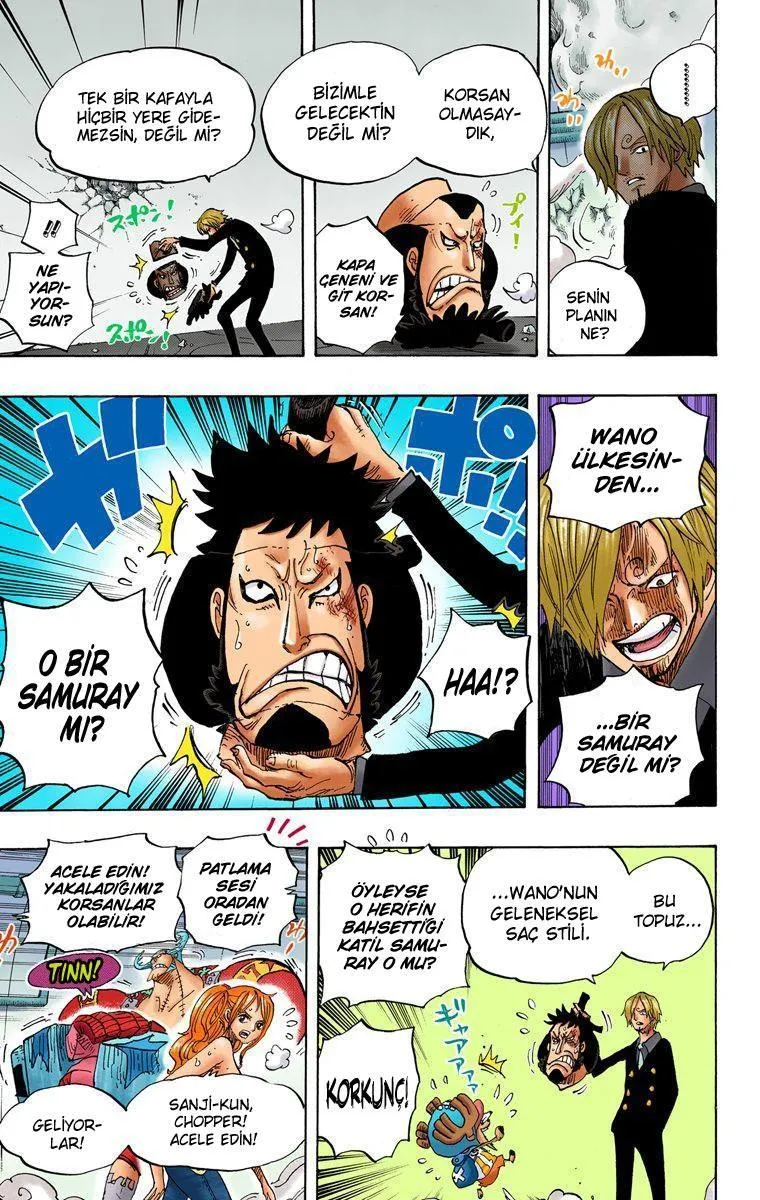 One Piece [Renkli] - Sayfa 16