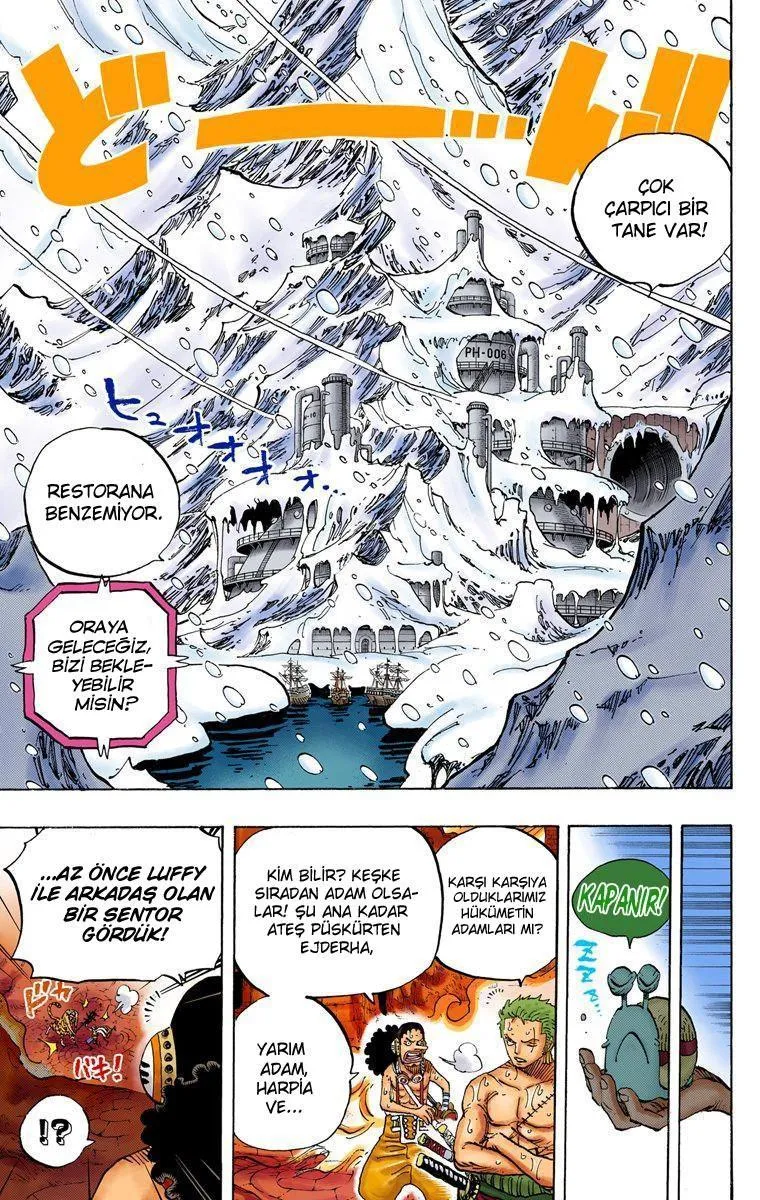 One Piece [Renkli] - Sayfa 16