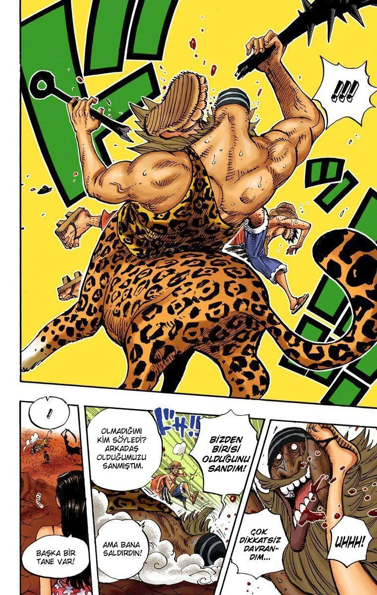 One Piece [Renkli] - Sayfa 17