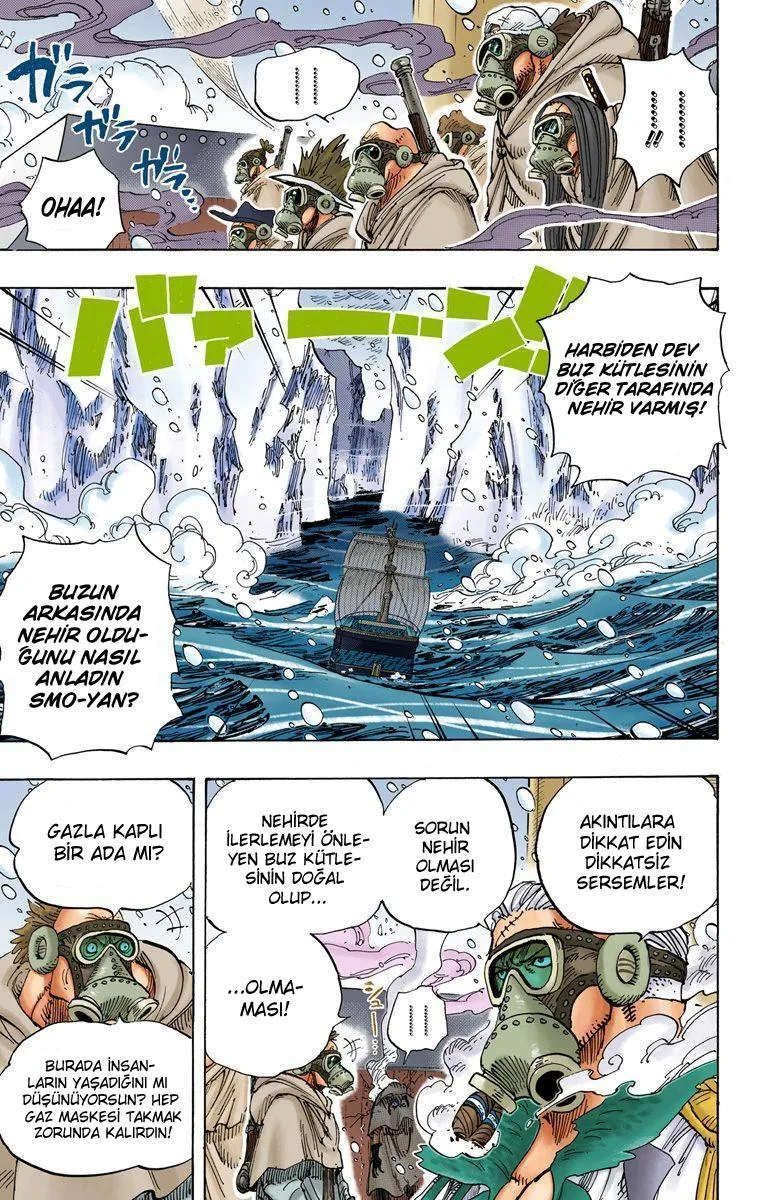 One Piece [Renkli] - Sayfa 4