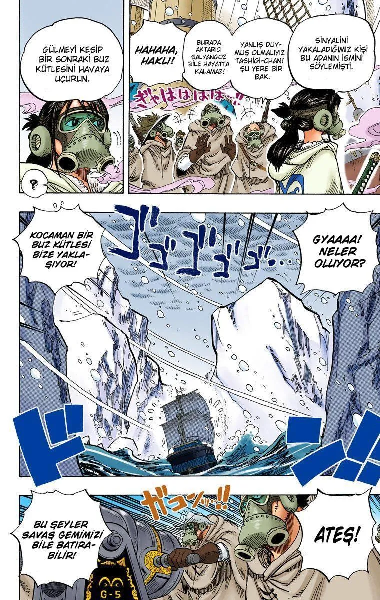 One Piece [Renkli] - Sayfa 5