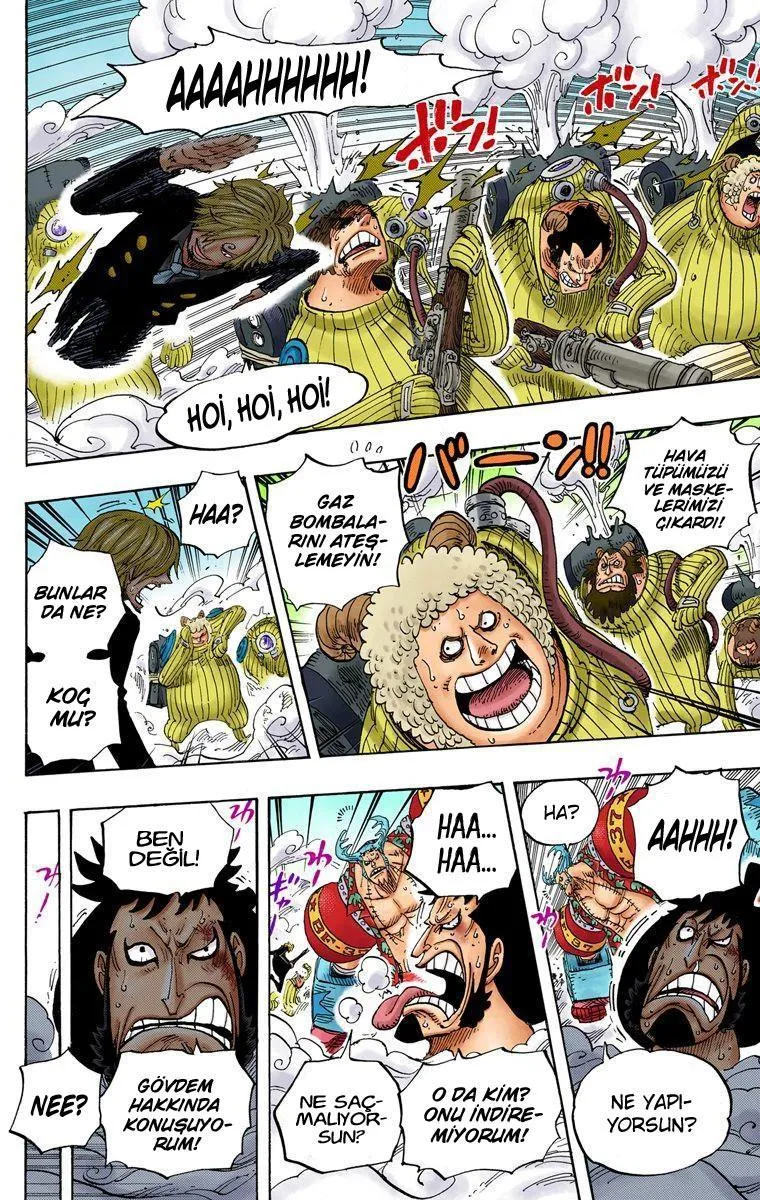 One Piece [Renkli] - Sayfa 13