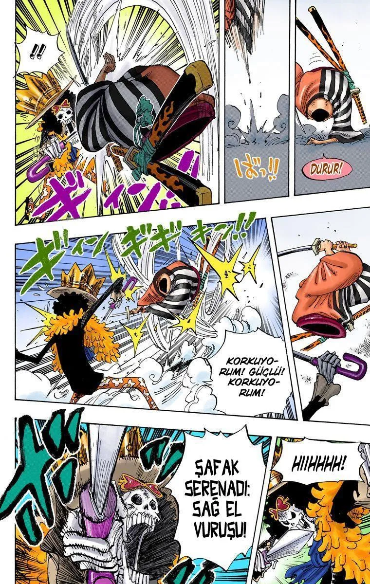 One Piece [Renkli] - Sayfa 15