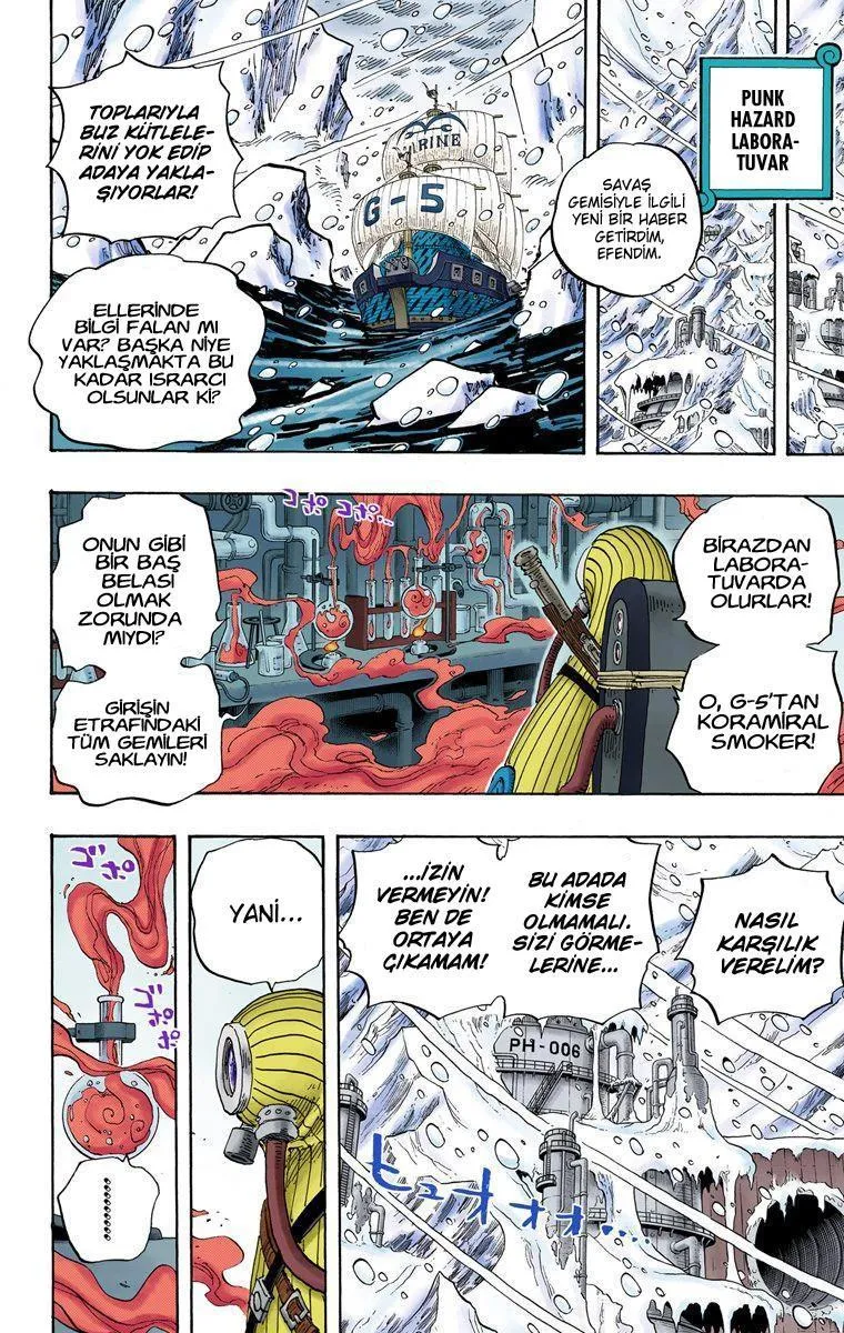 One Piece [Renkli] - Sayfa 17