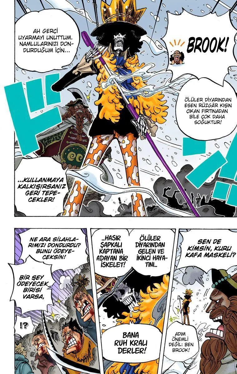 One Piece [Renkli] - Sayfa 9