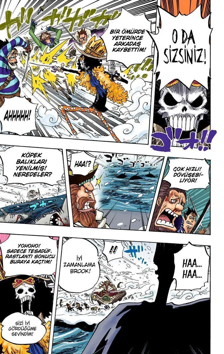 One Piece [Renkli] - Sayfa 10