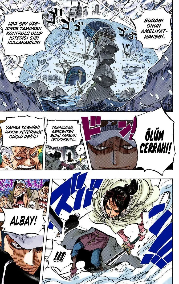 One Piece [Renkli] - Sayfa 20