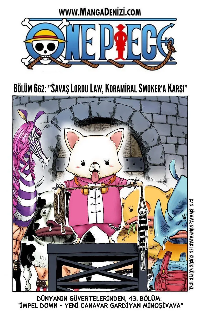 One Piece [Renkli] - Sayfa 2