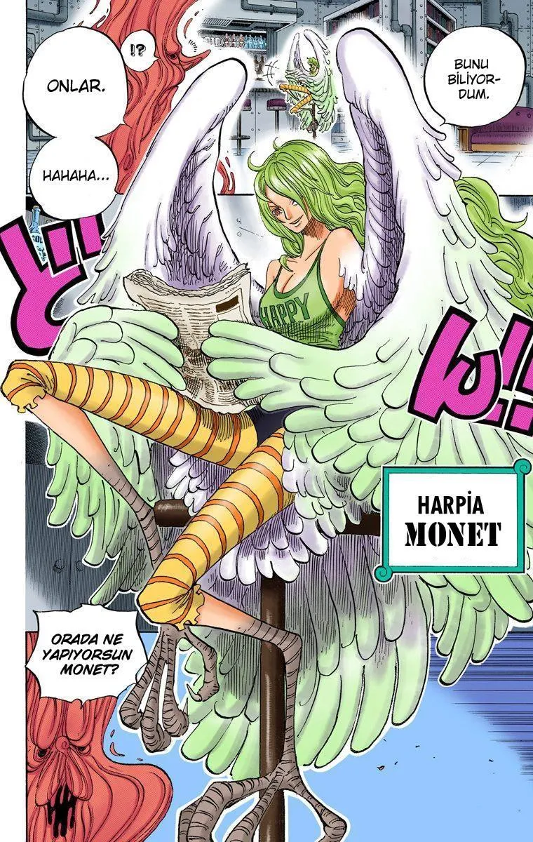 One Piece [Renkli] - Sayfa 13