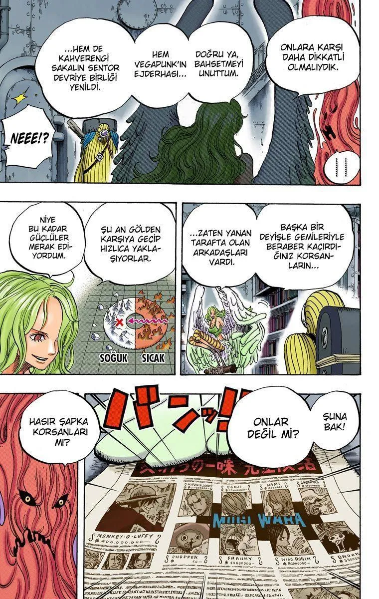 One Piece [Renkli] - Sayfa 14