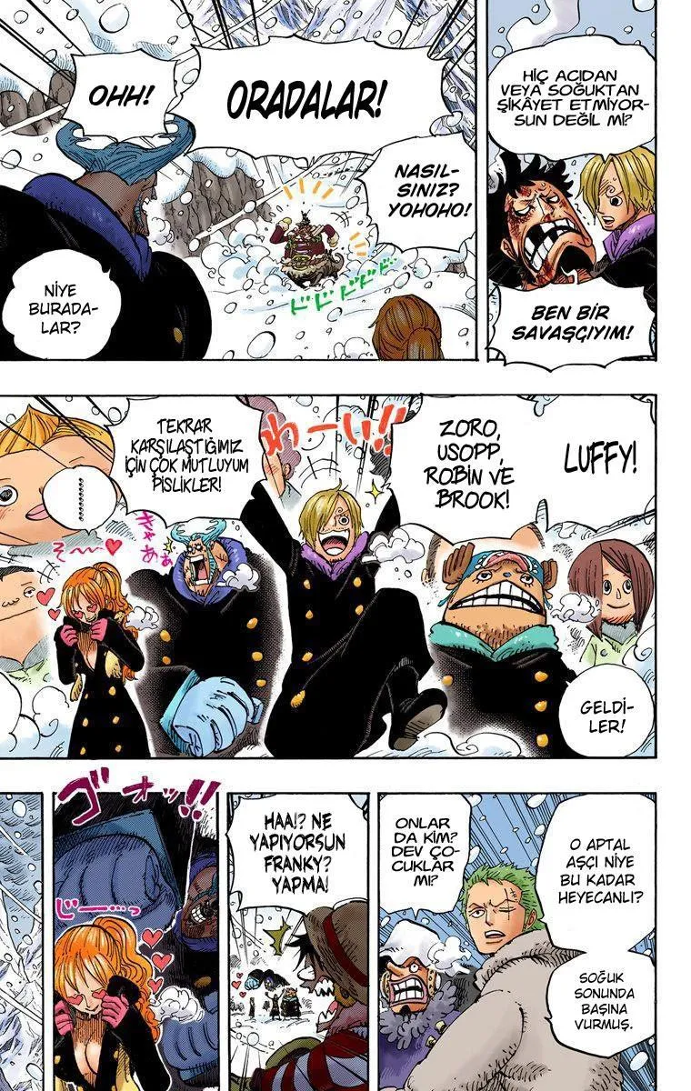 One Piece [Renkli] - Sayfa 14