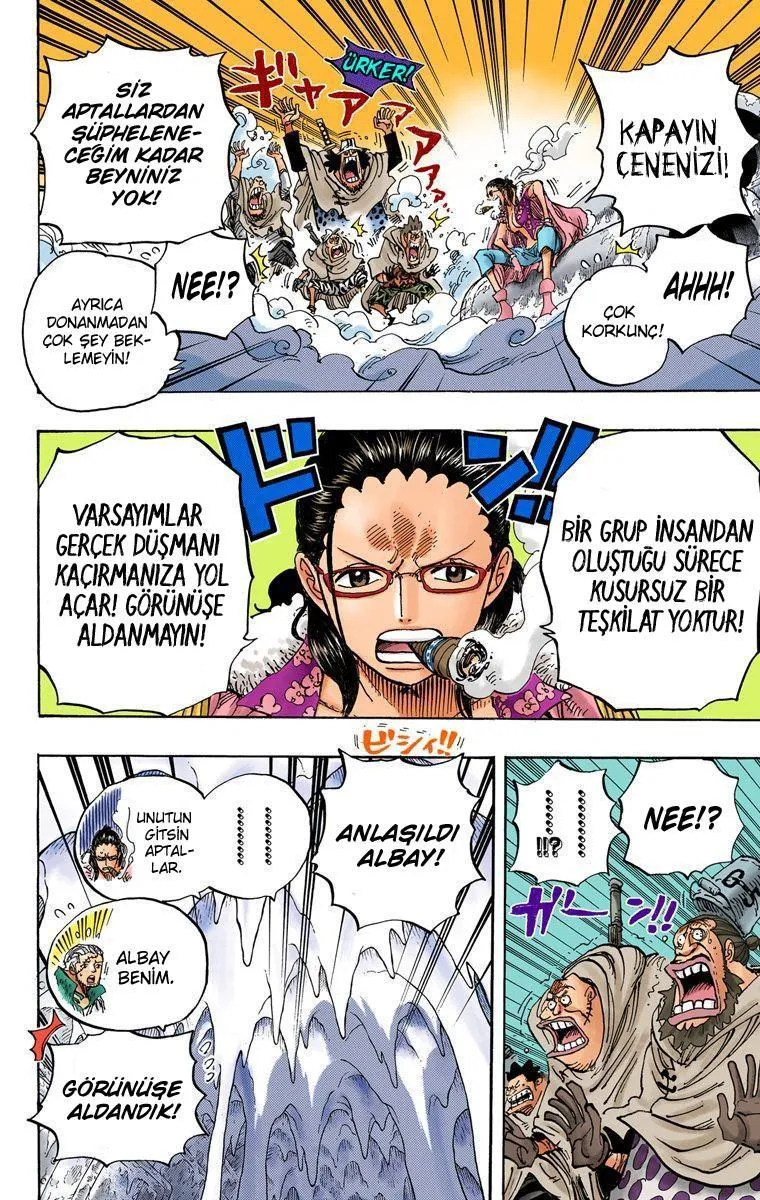 One Piece [Renkli] - Sayfa 6