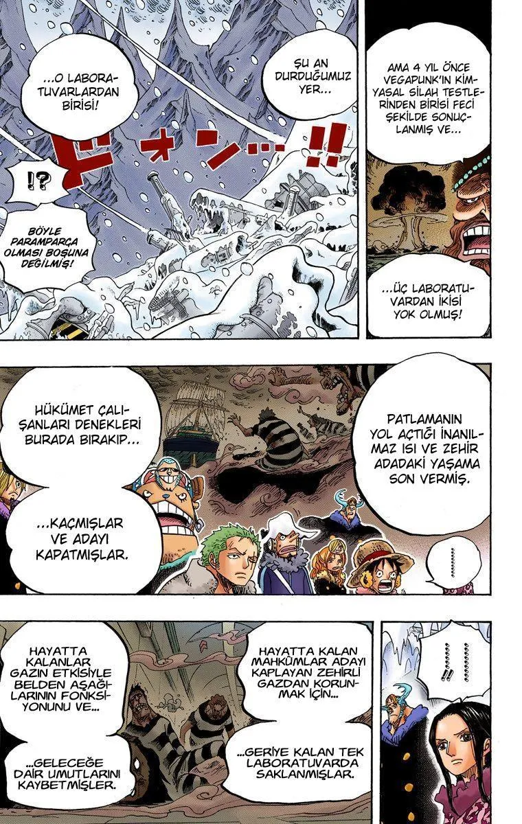 One Piece [Renkli] - Sayfa 13