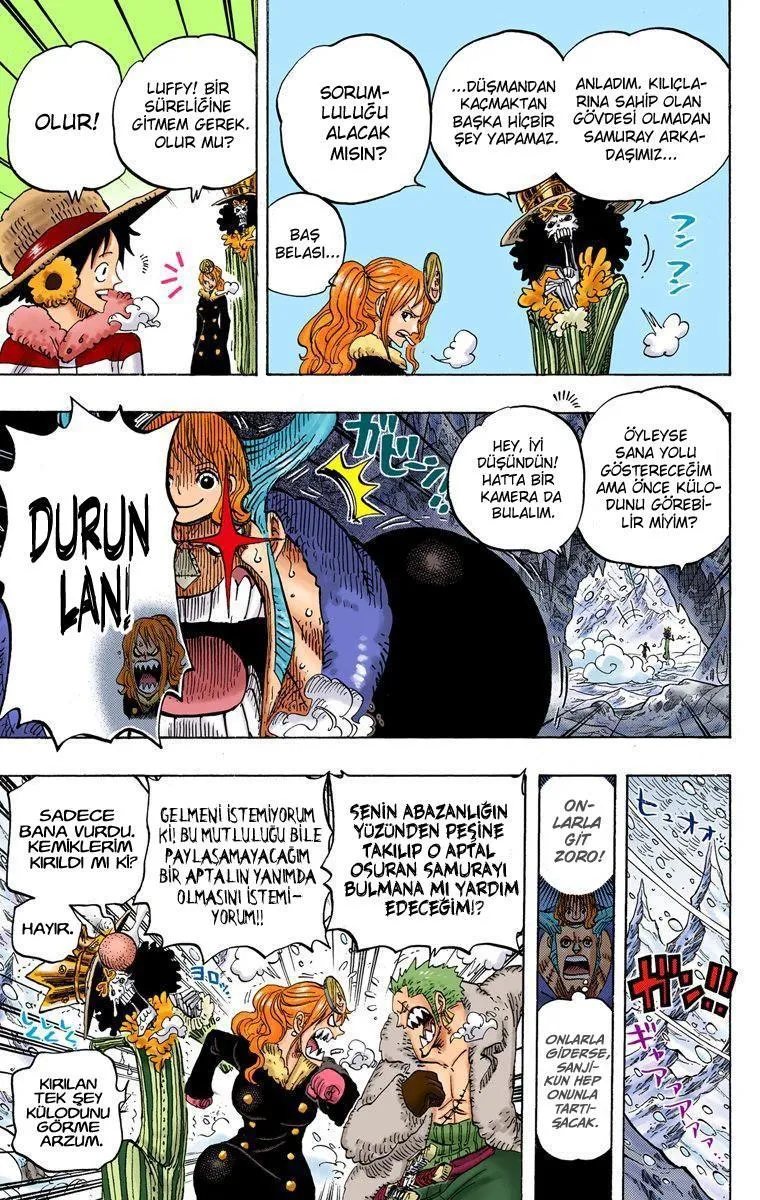 One Piece [Renkli] - Sayfa 4