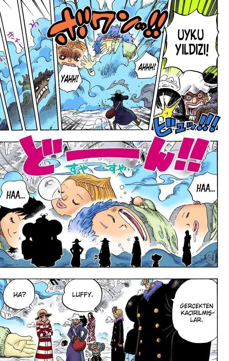 One Piece [Renkli] - Sayfa 14