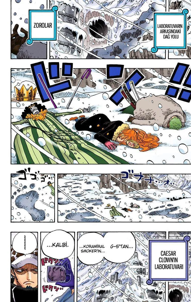 One Piece [Renkli] - Sayfa 17