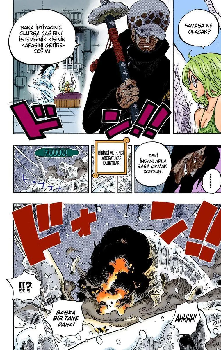 One Piece [Renkli] - Sayfa 9