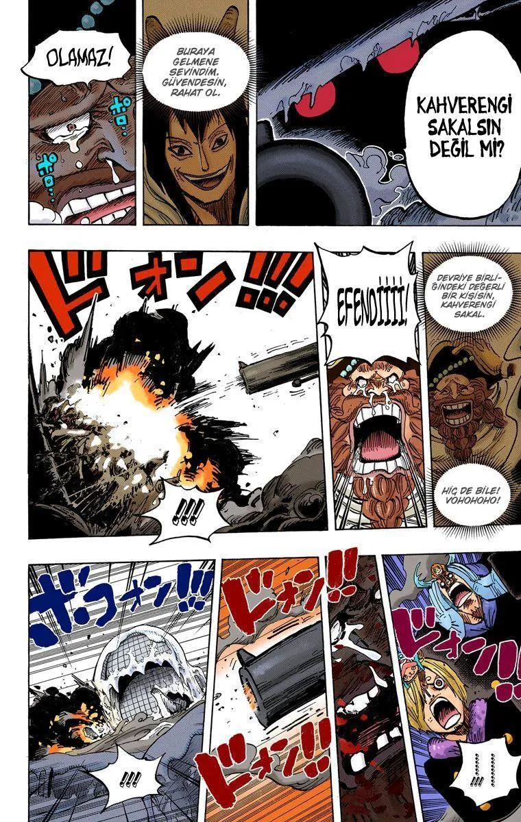 One Piece [Renkli] - Sayfa 15