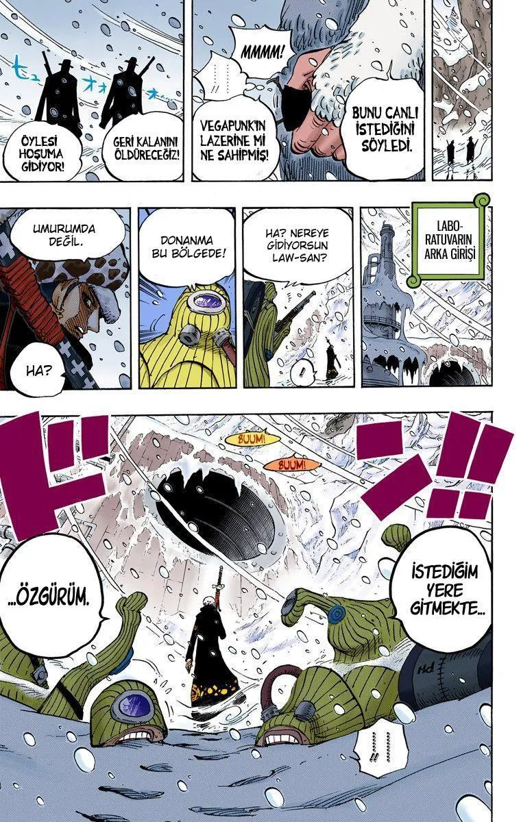 One Piece [Renkli] - Sayfa 18