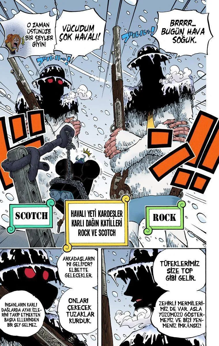 One Piece [Renkli] - Sayfa 8