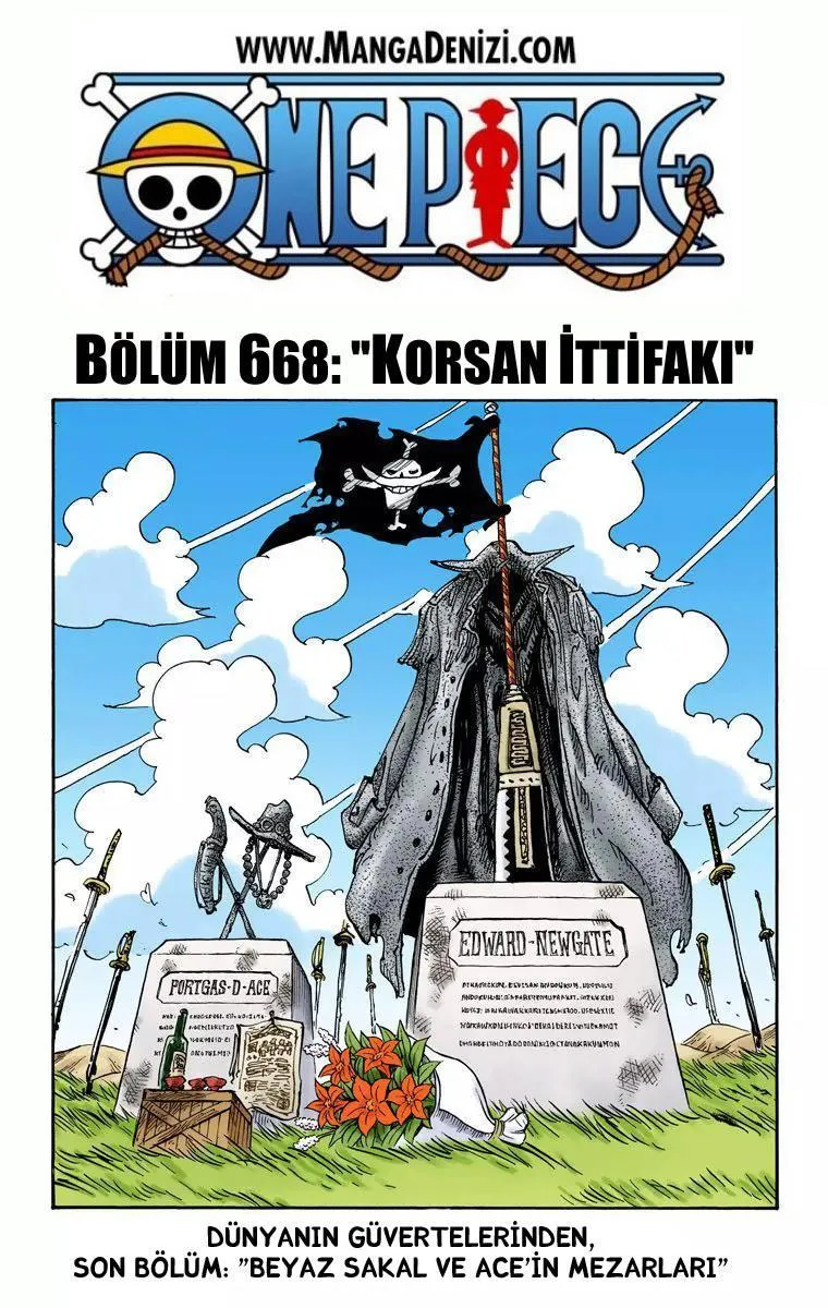 One Piece [Renkli] - Sayfa 2