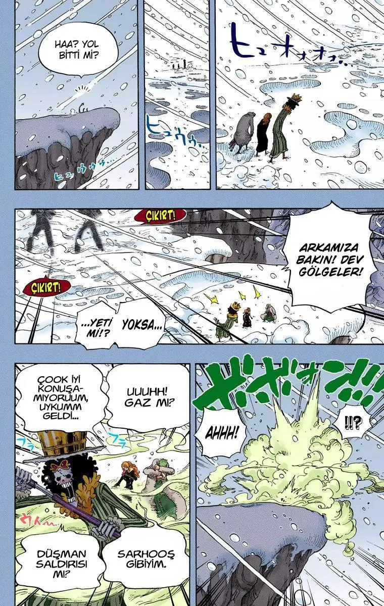 One Piece [Renkli] - Sayfa 5