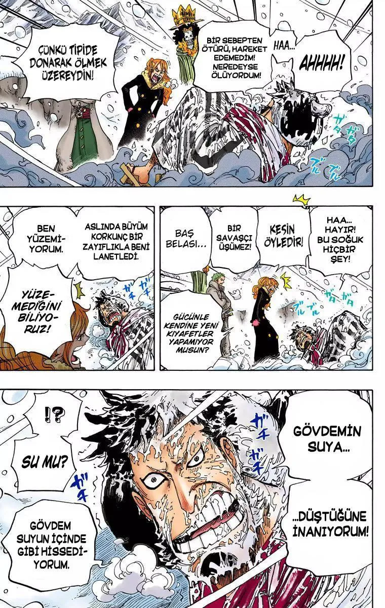 One Piece [Renkli] - Sayfa 10