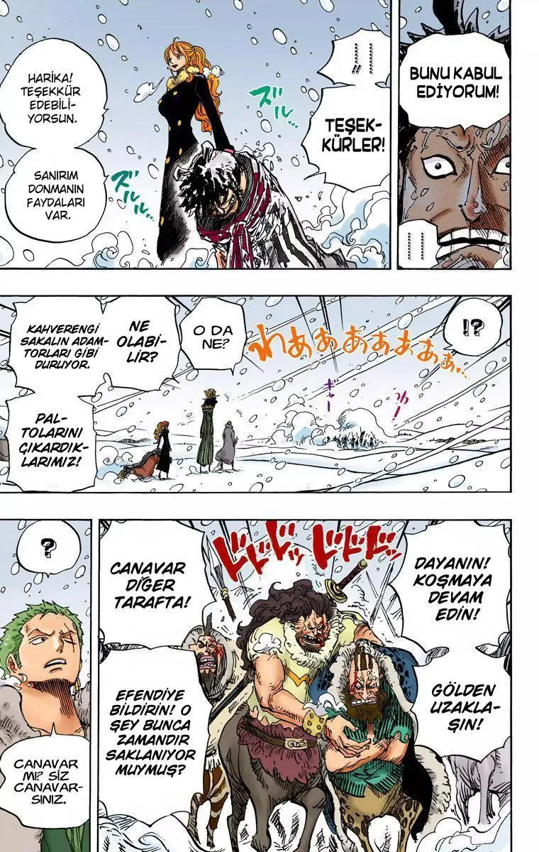 One Piece [Renkli] - Sayfa 12